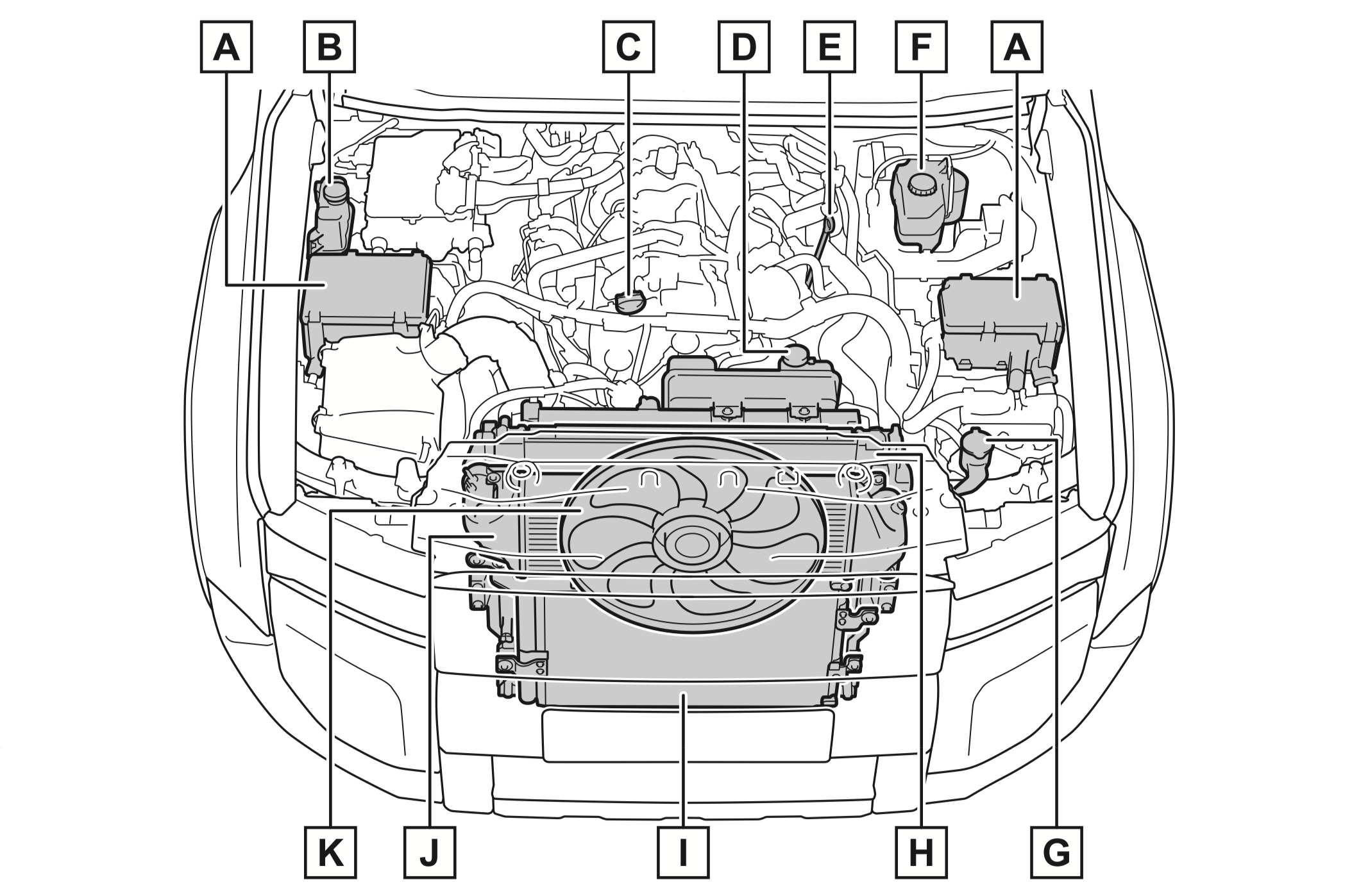 Engine Compartment