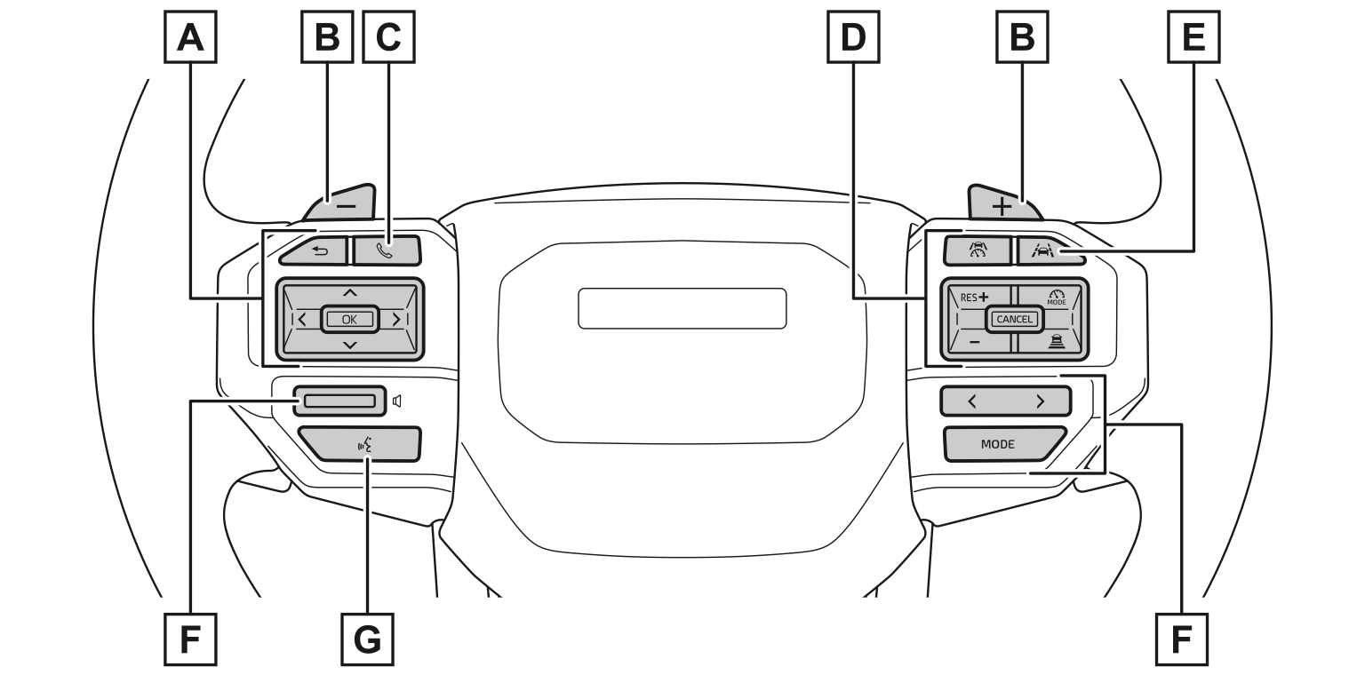 Steering Switches